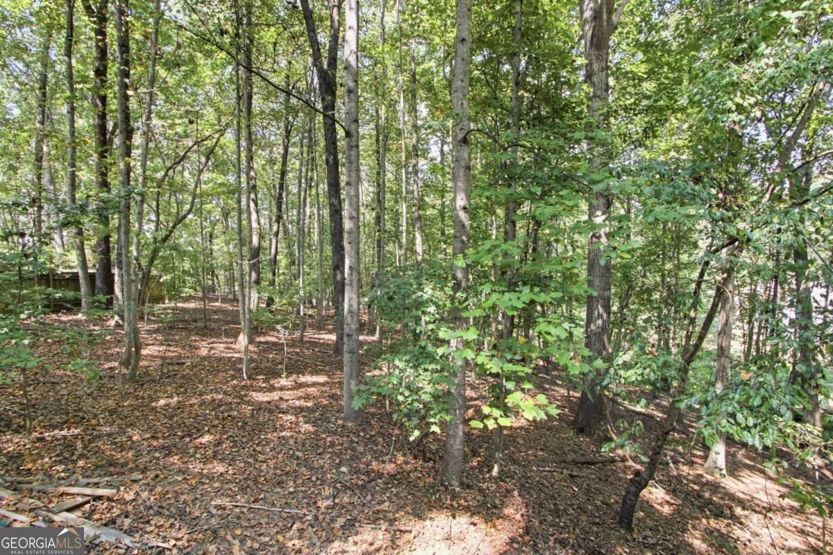 504 Chestnut Ridge Property Photo 29