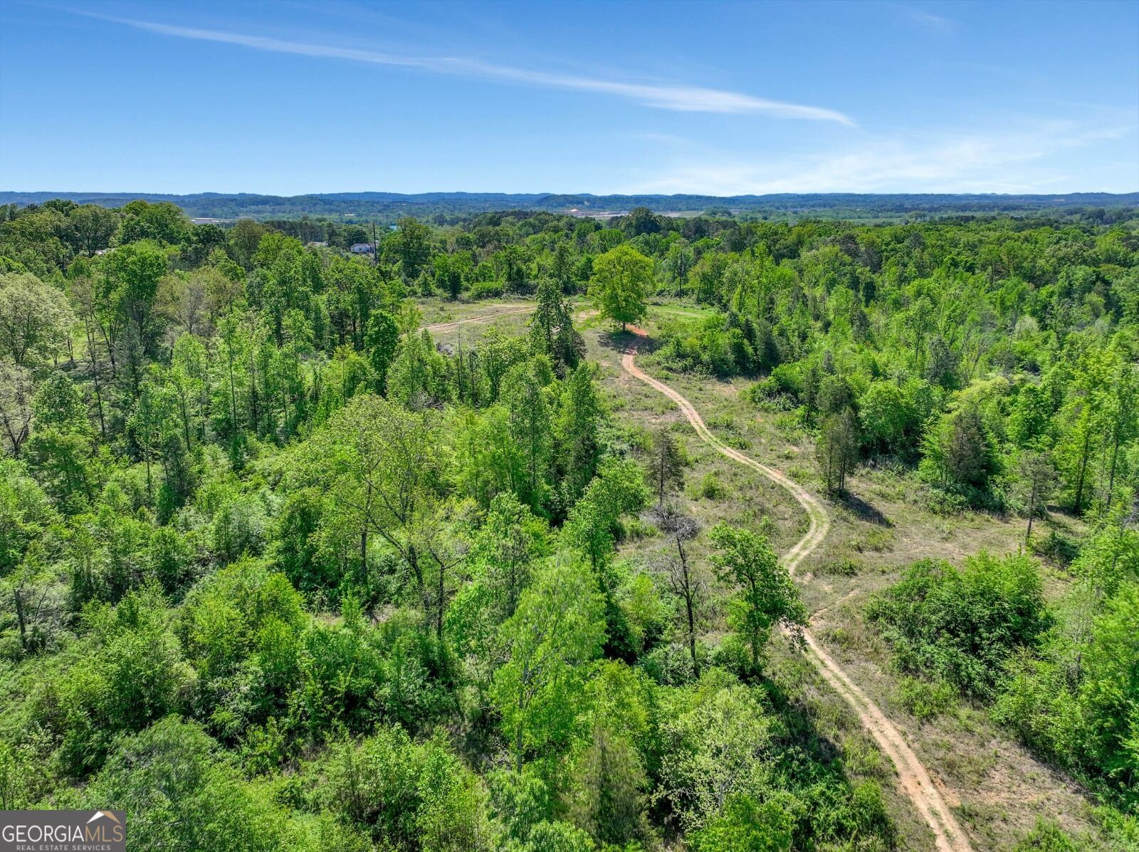 3926 Graceland Trail Property Photo 7