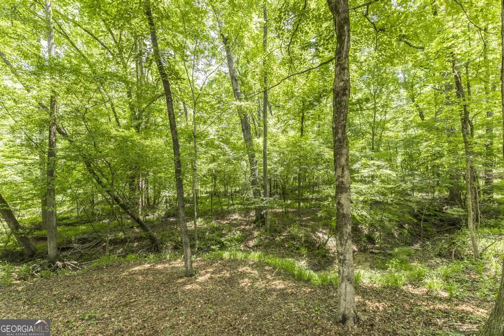 127 Ridge Crest Drive Property Photo 35