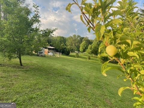 4253 Swallows Creek Road Property Photo 52