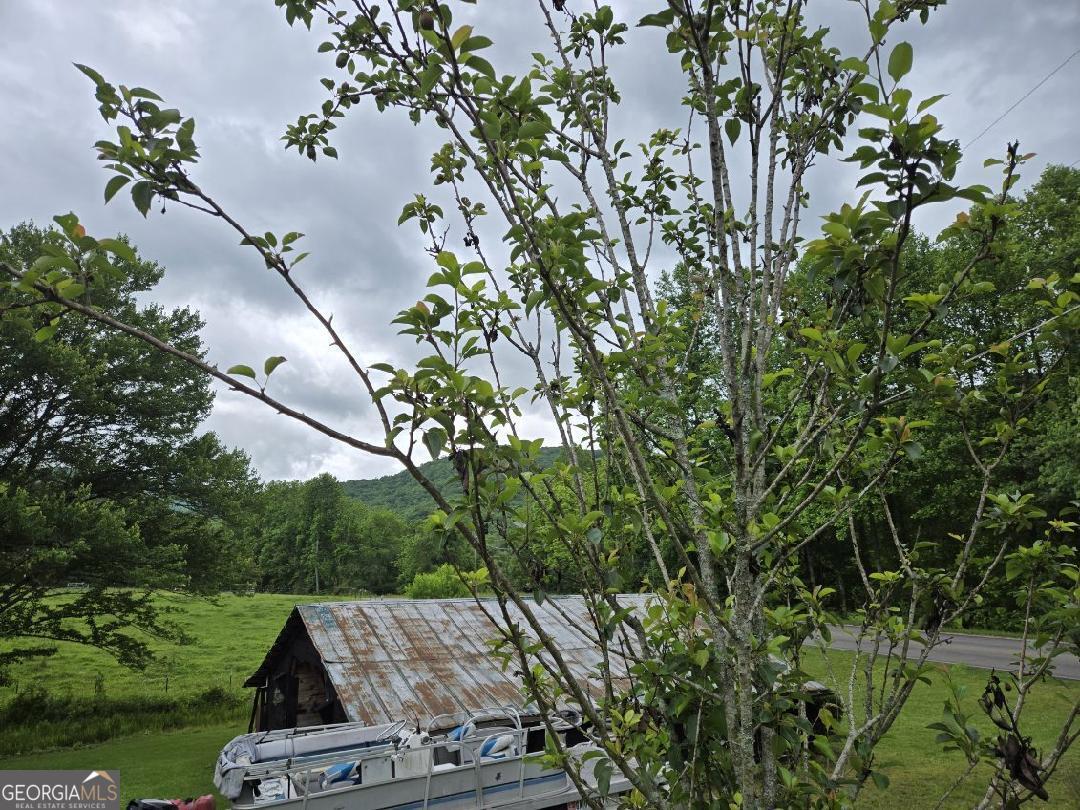 4253 Swallows Creek Road Property Photo 55