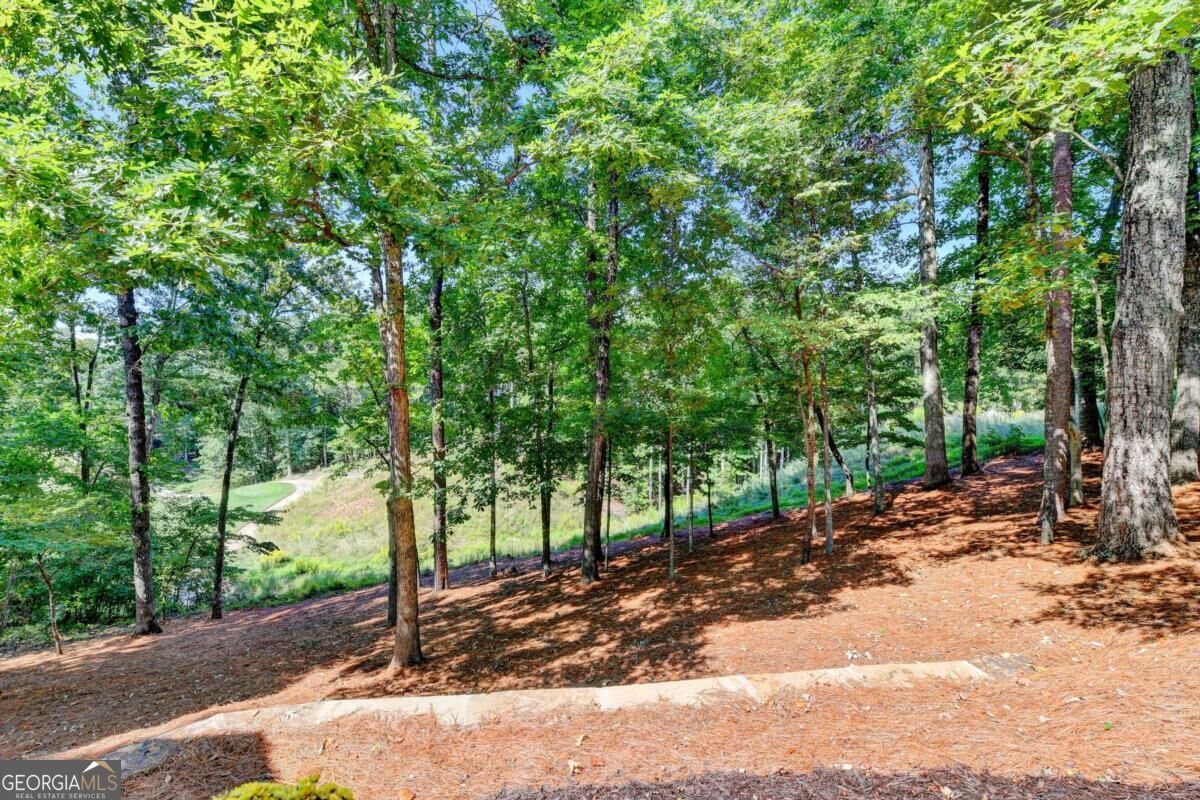 7060 Redcliff Court Property Photo 68