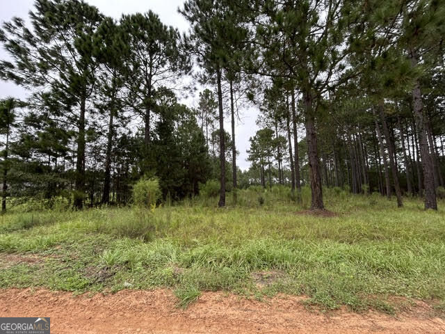 165 Creekside Way Property Photo 3