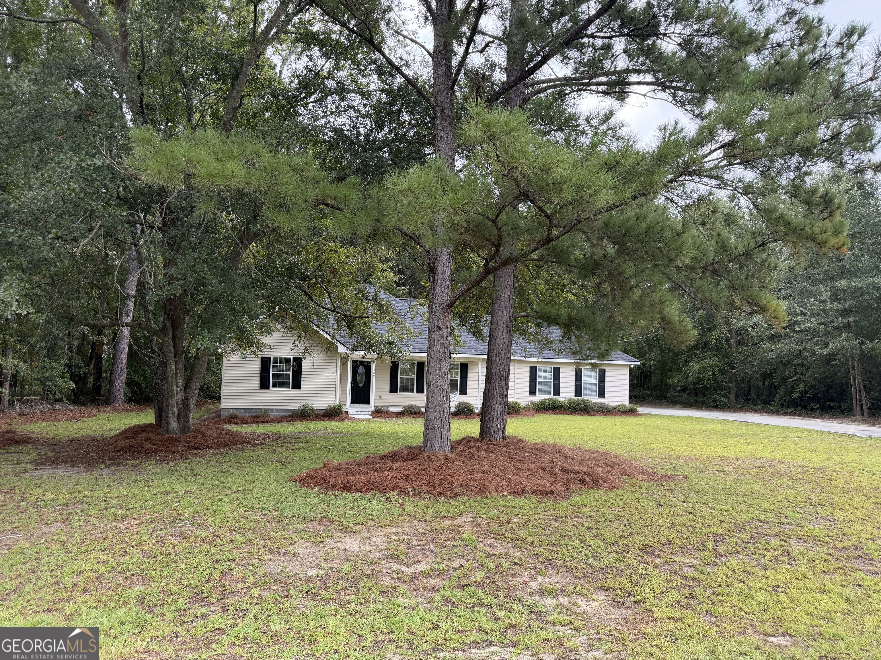 509 Carriage Lane Property Photo 1