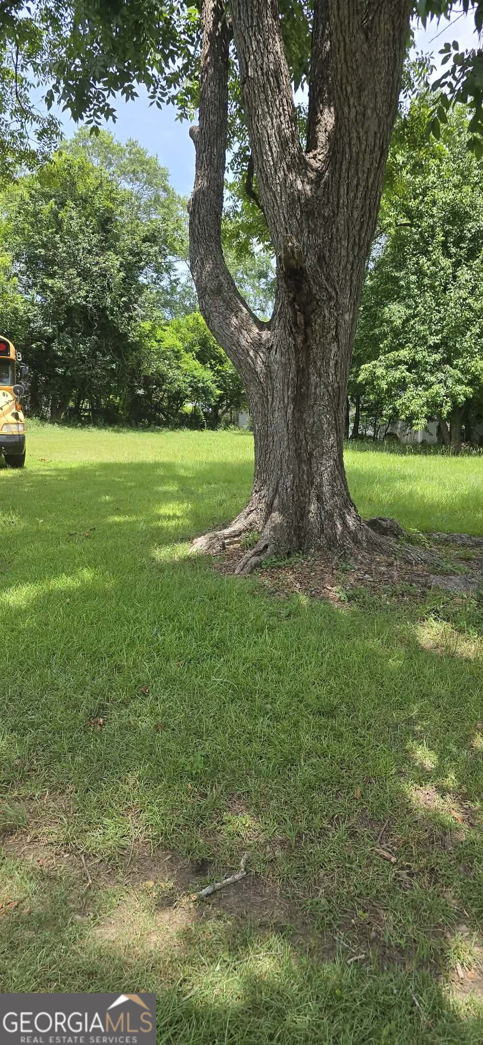 0 Pineknot Property Photo 2