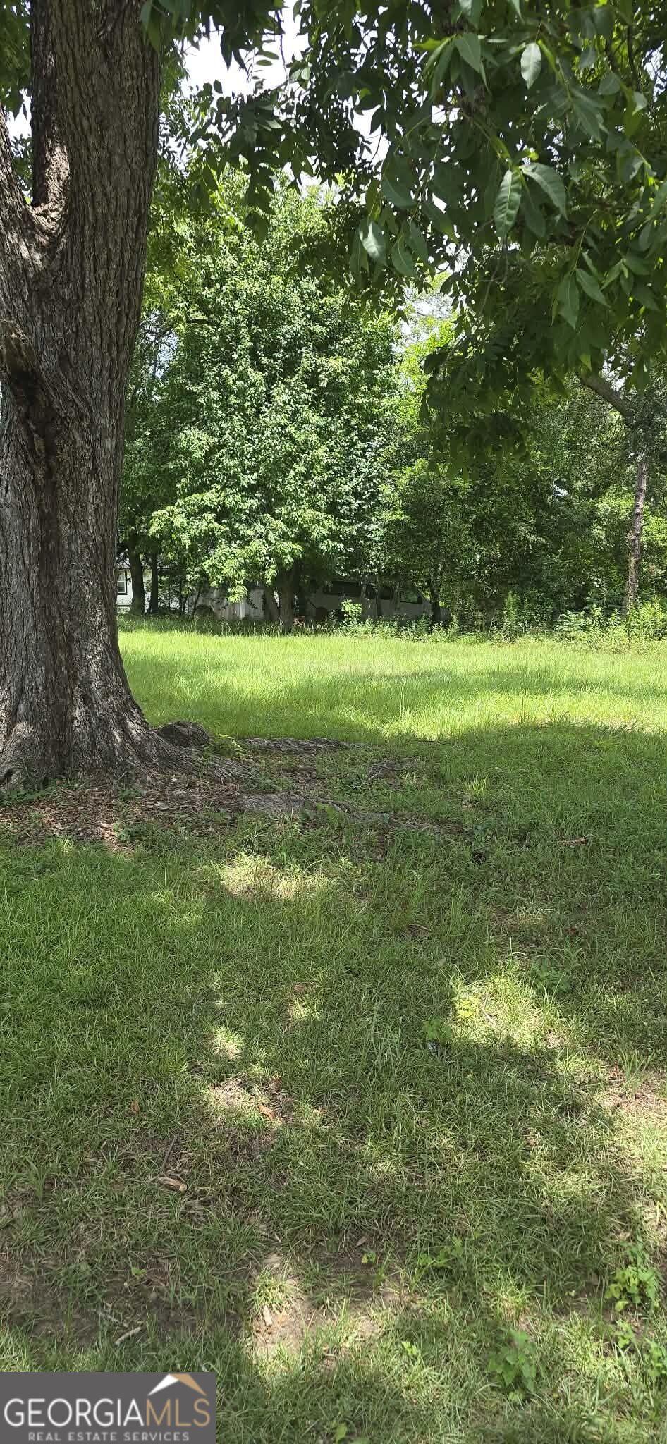 0 Pineknot Property Photo 3