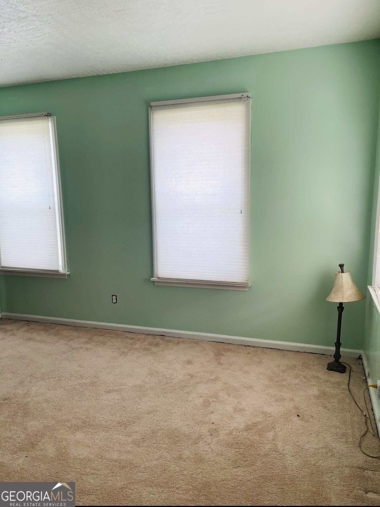 5642 Buena Vista Road Property Photo 12
