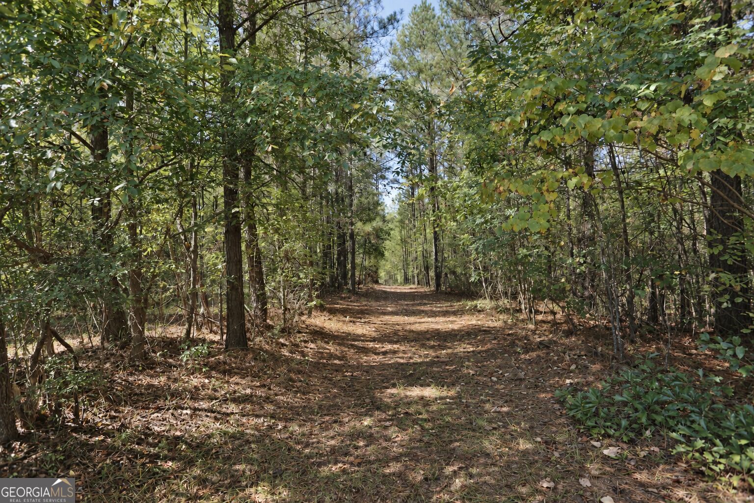 174 Rifle Range Road Property Photo 57