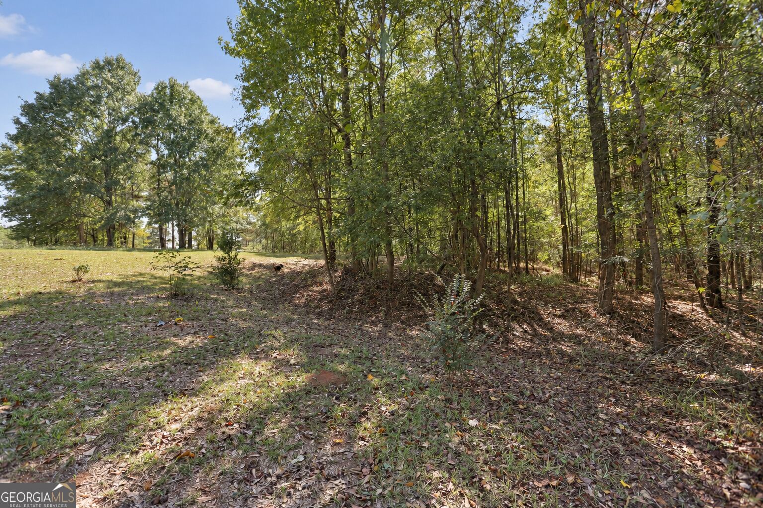 174 Rifle Range Road Property Photo 60