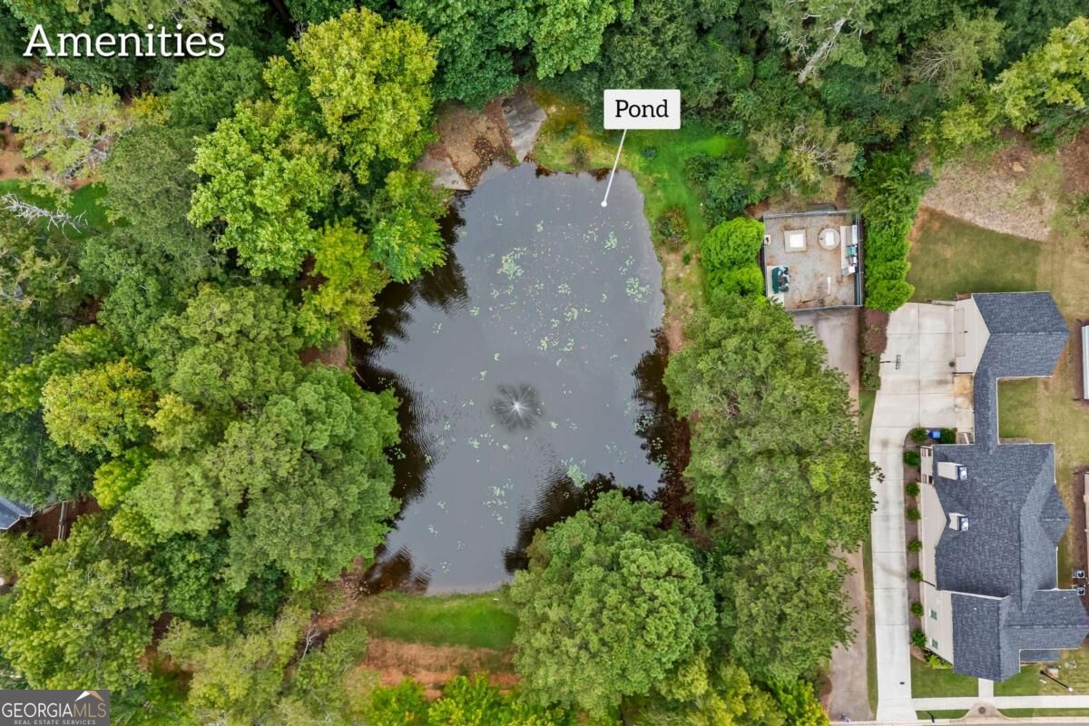 1051 Copperville Drive Property Photo 73
