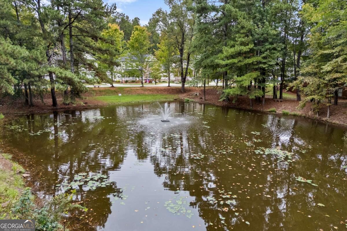 1051 Copperville Drive Property Photo 74