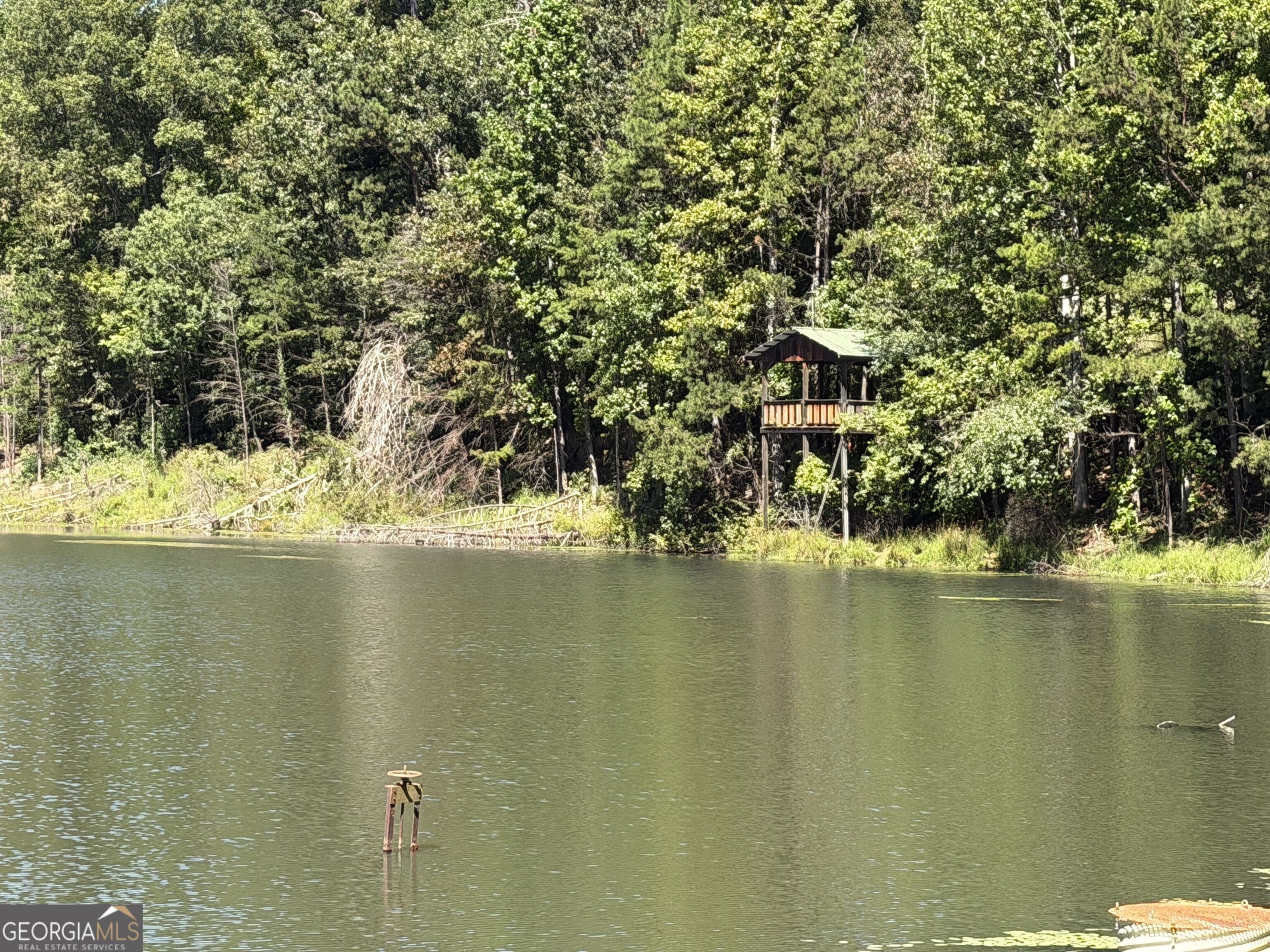 263 Cole Lake Drive Property Photo 2
