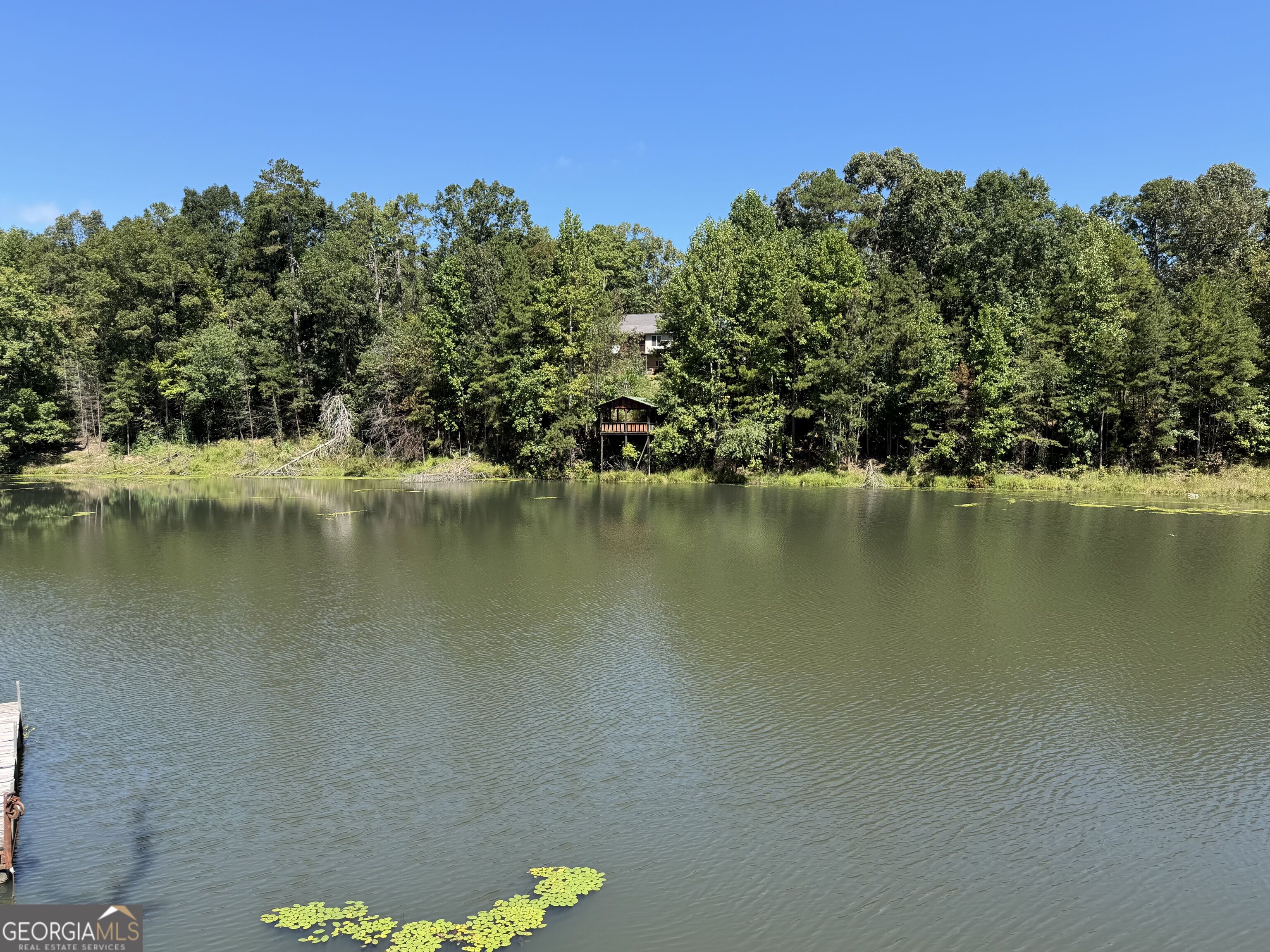 263 Cole Lake Drive Property Photo 3
