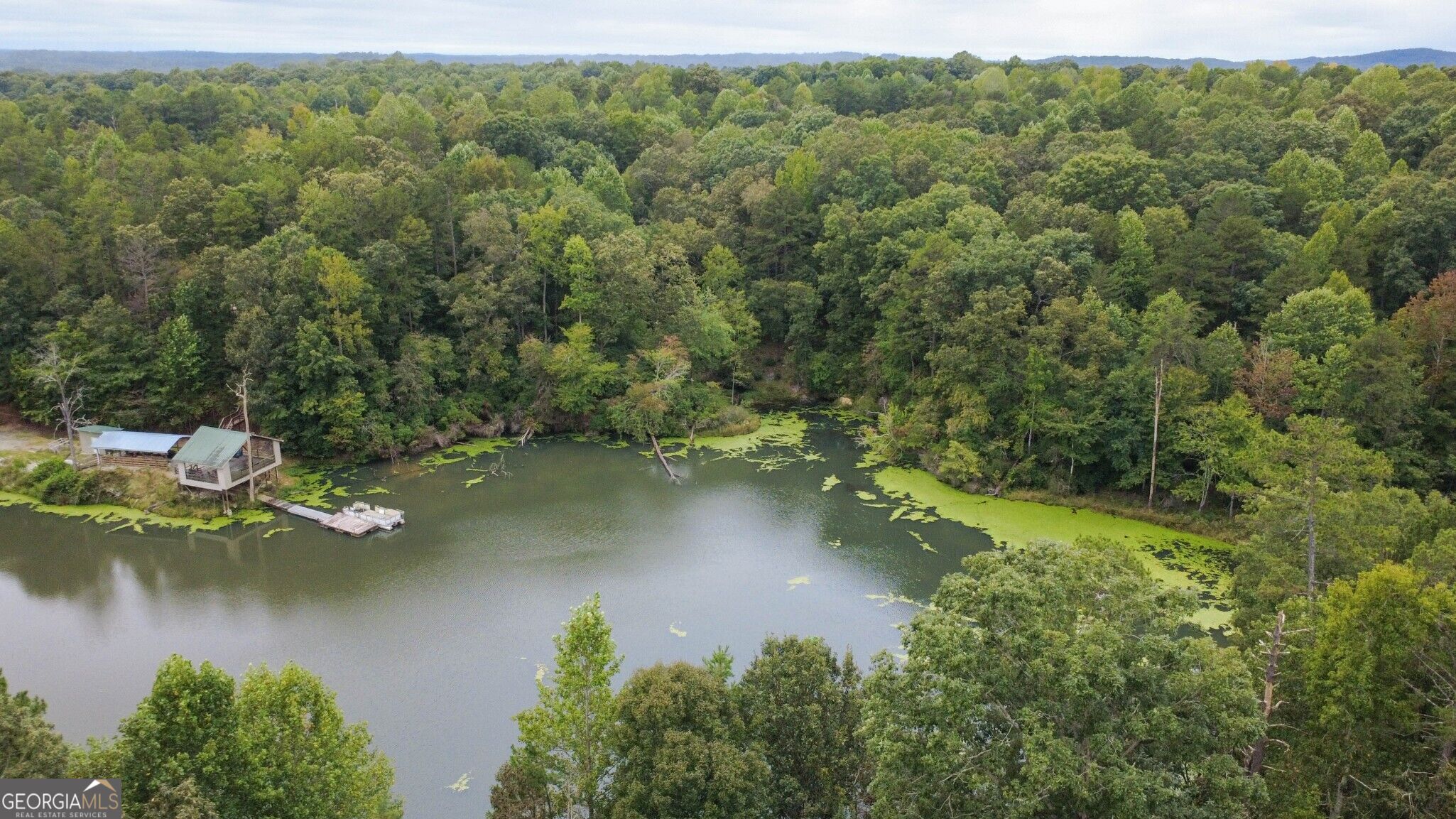 263 Cole Lake Drive Property Photo 5