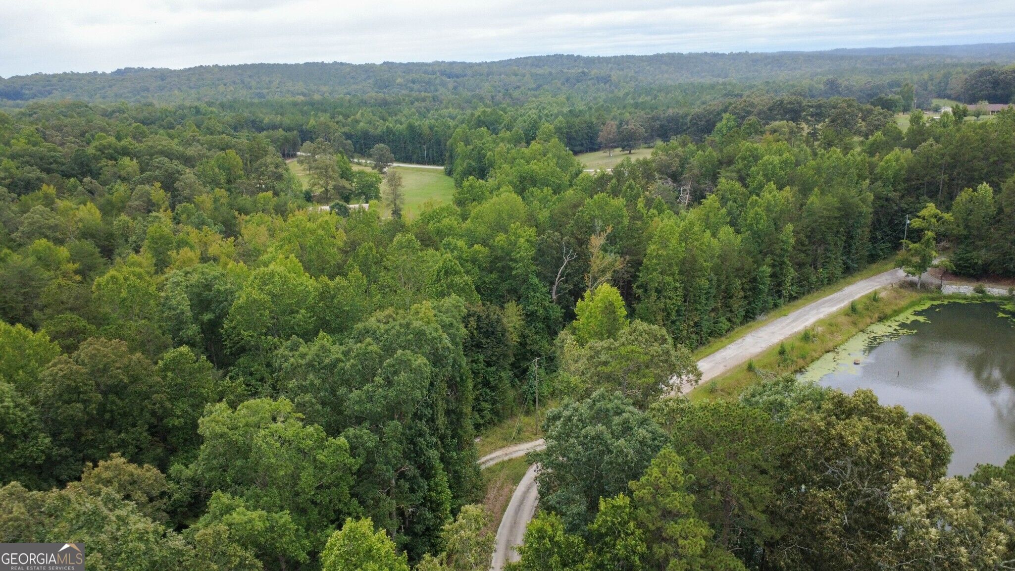 263 Cole Lake Drive Property Photo 10