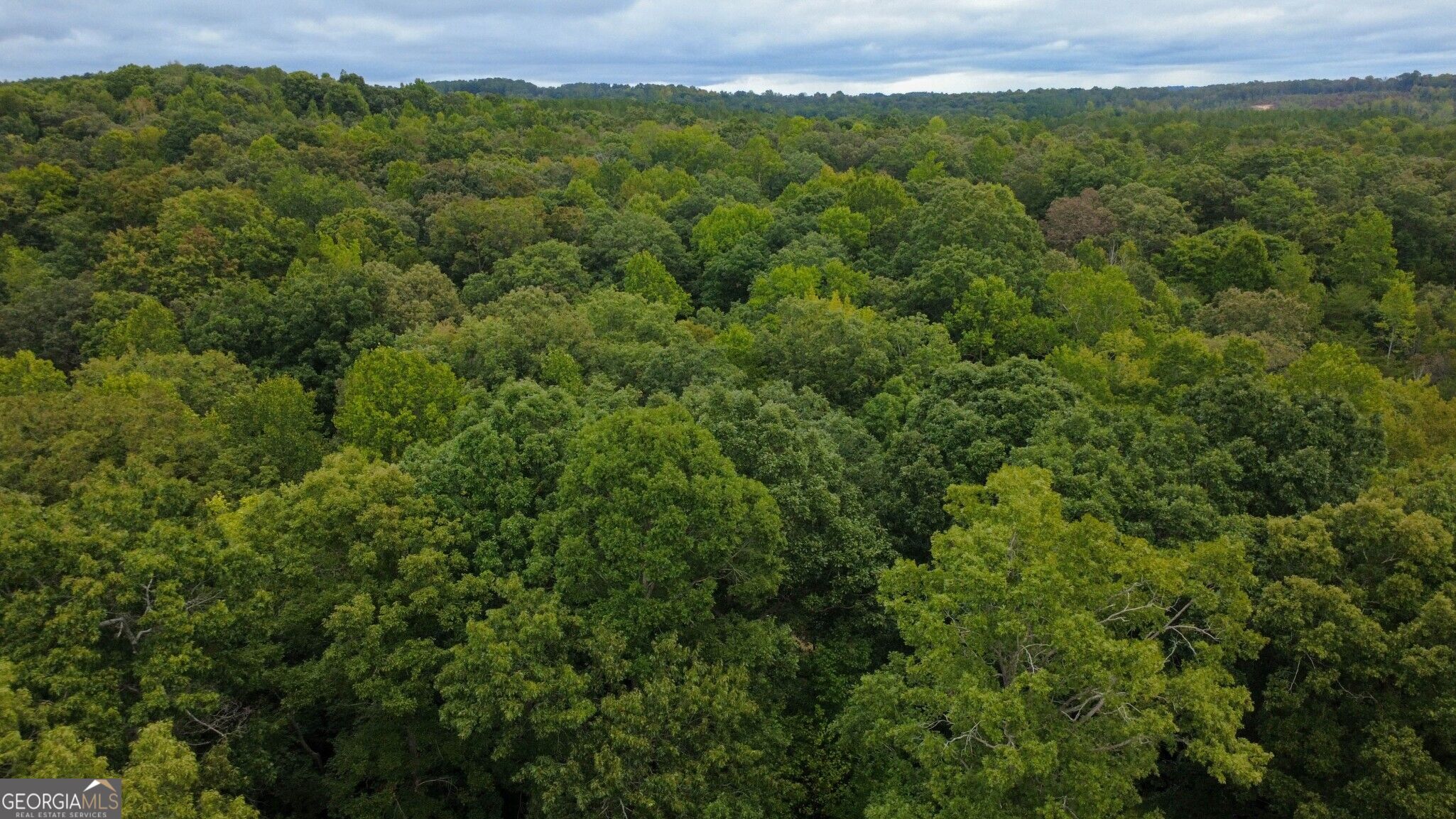 263 Cole Lake Drive Property Photo 12