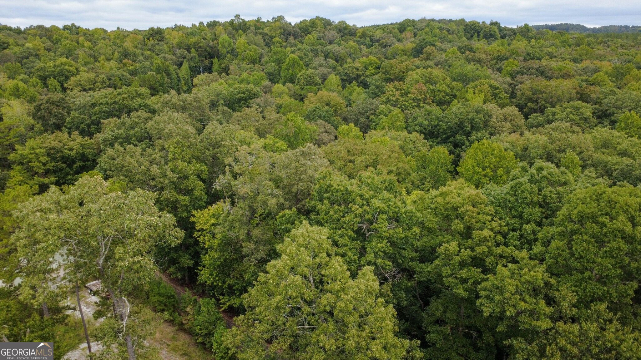 263 Cole Lake Drive Property Photo 13