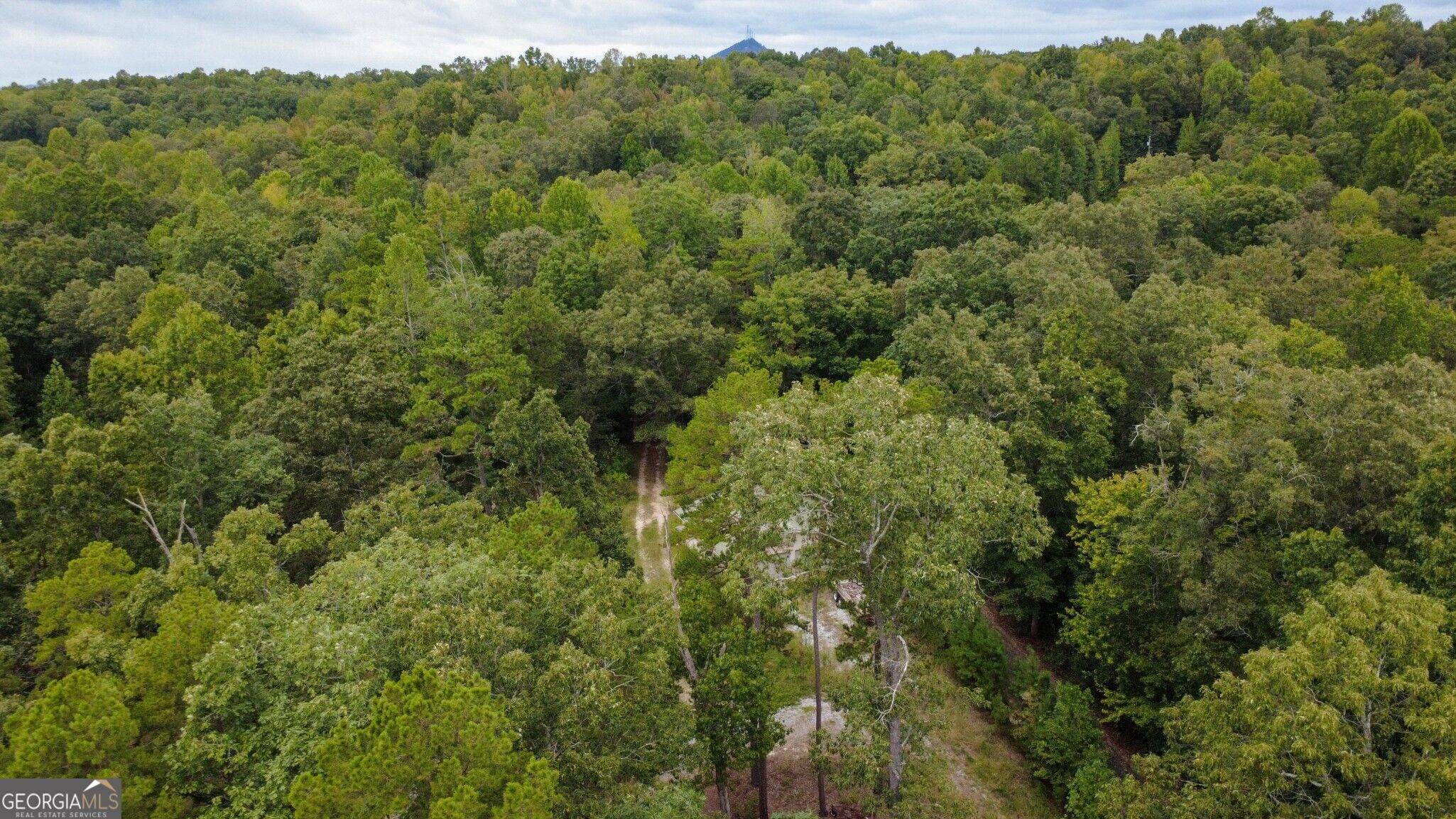 263 Cole Lake Drive Property Photo 14