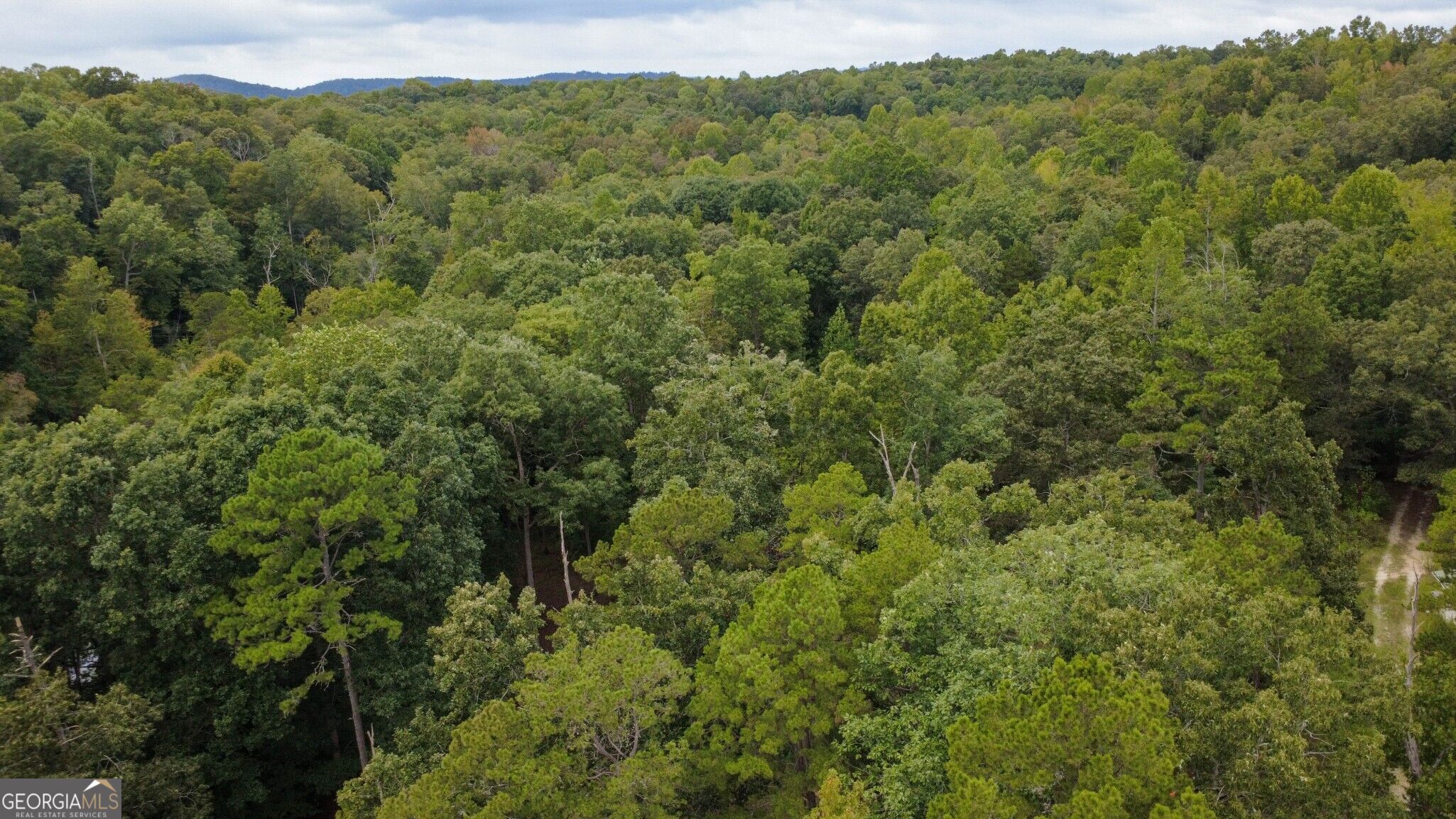 263 Cole Lake Drive Property Photo 15