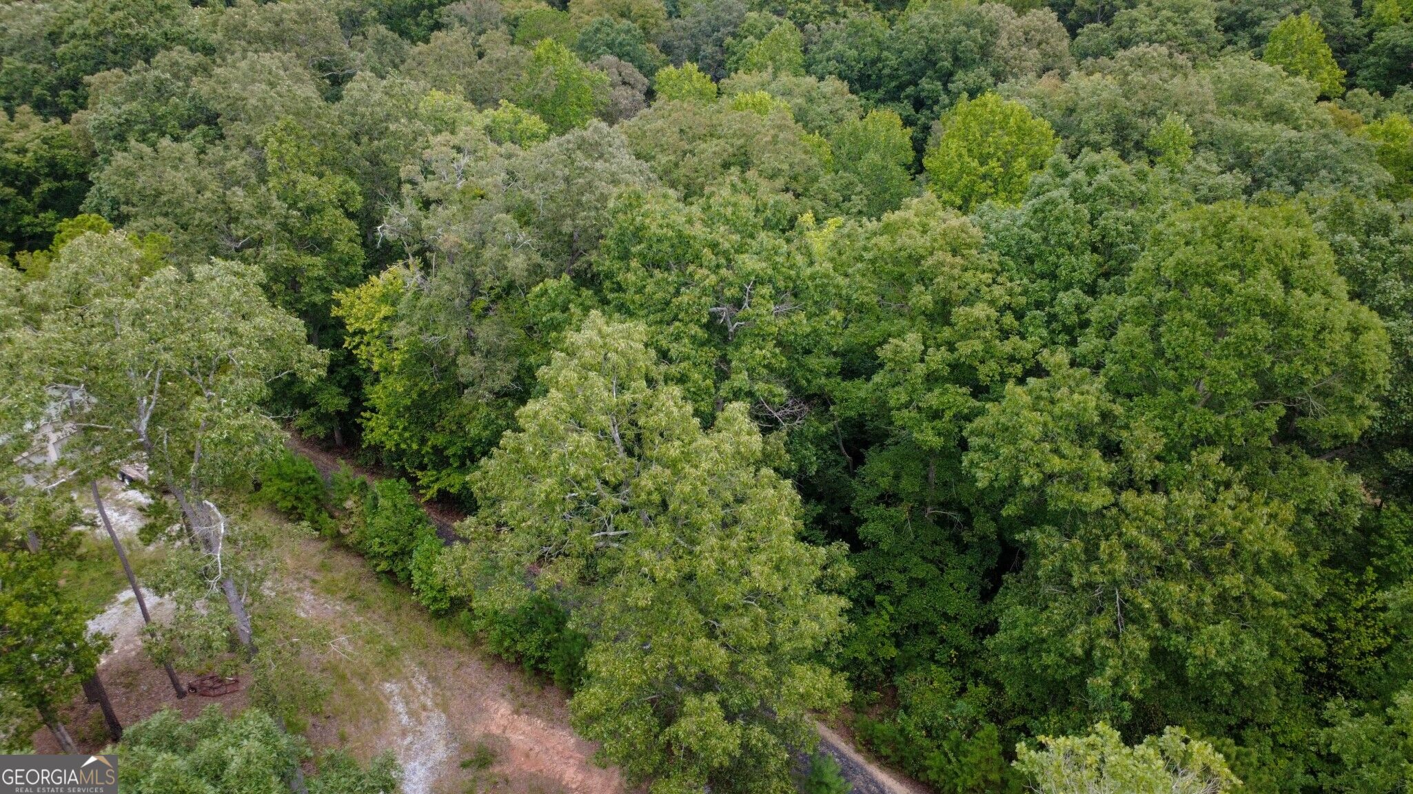 263 Cole Lake Drive Property Photo 17