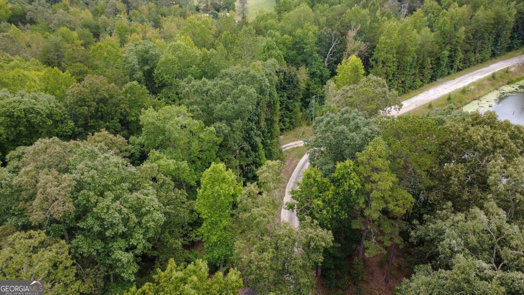 263 Cole Lake Drive Property Photo 19