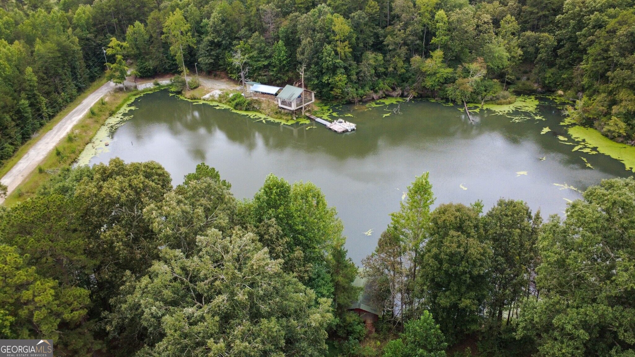 263 Cole Lake Drive Property Photo 21