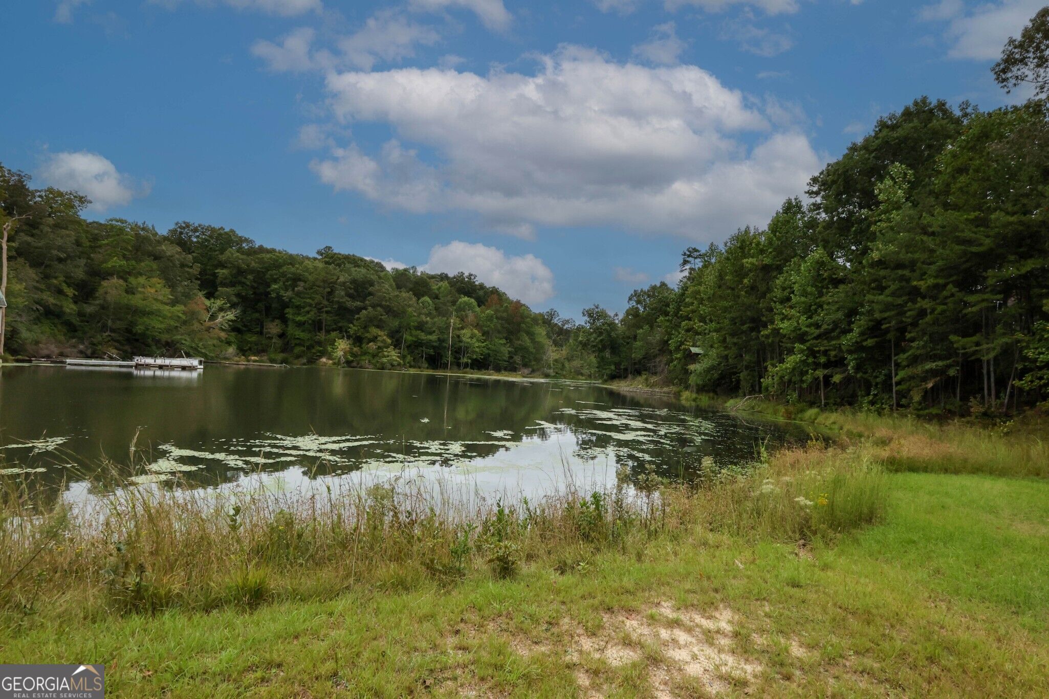 263 Cole Lake Drive Property Photo 22