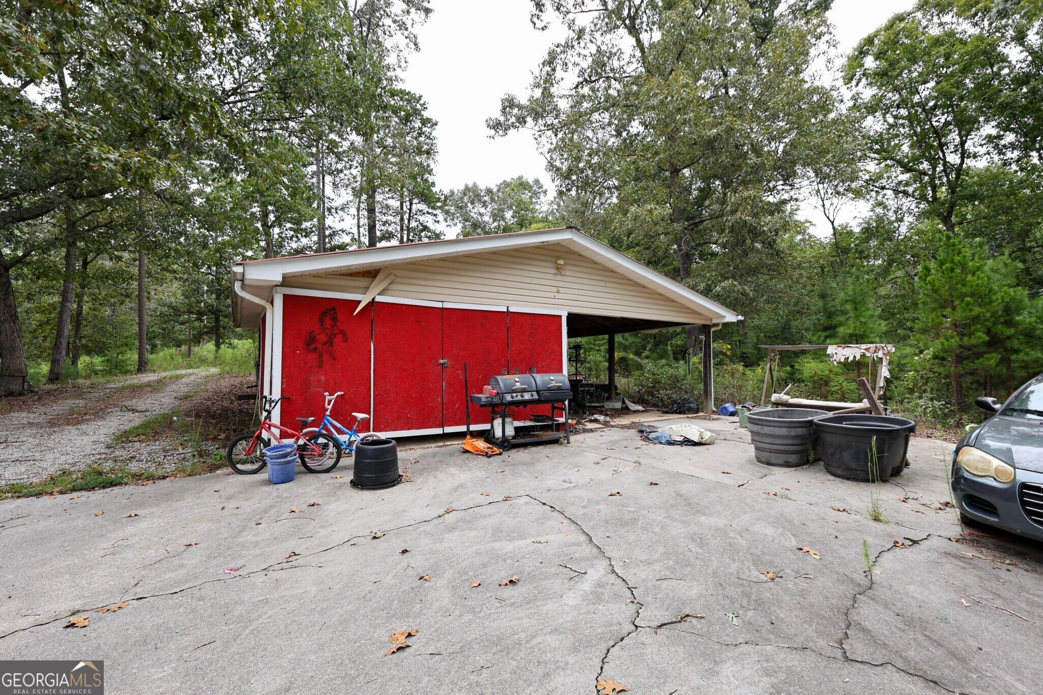 263 Cole Lake Drive Property Photo 26