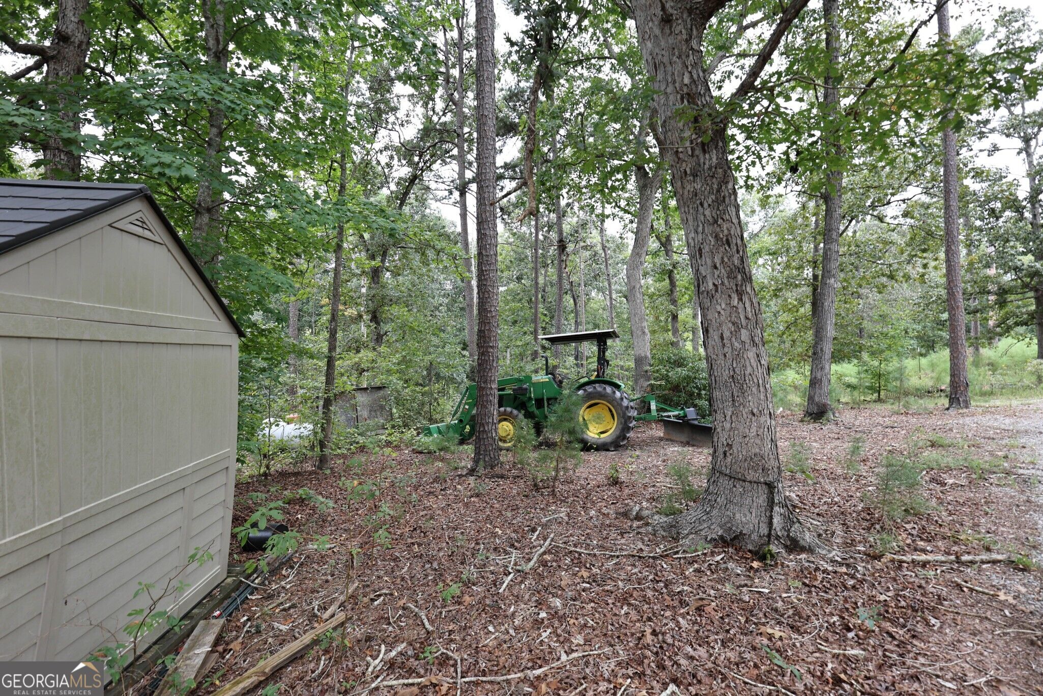 263 Cole Lake Drive Property Photo 29