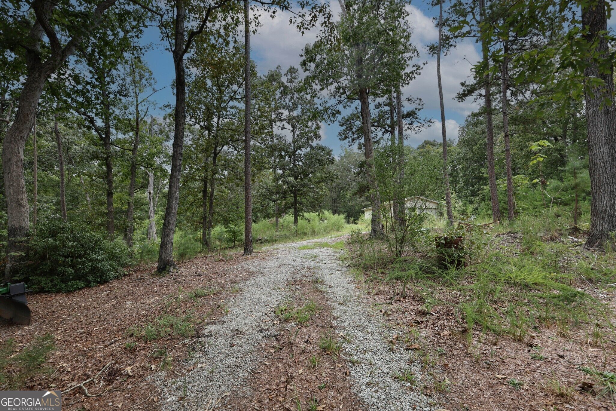 263 Cole Lake Drive Property Photo 30