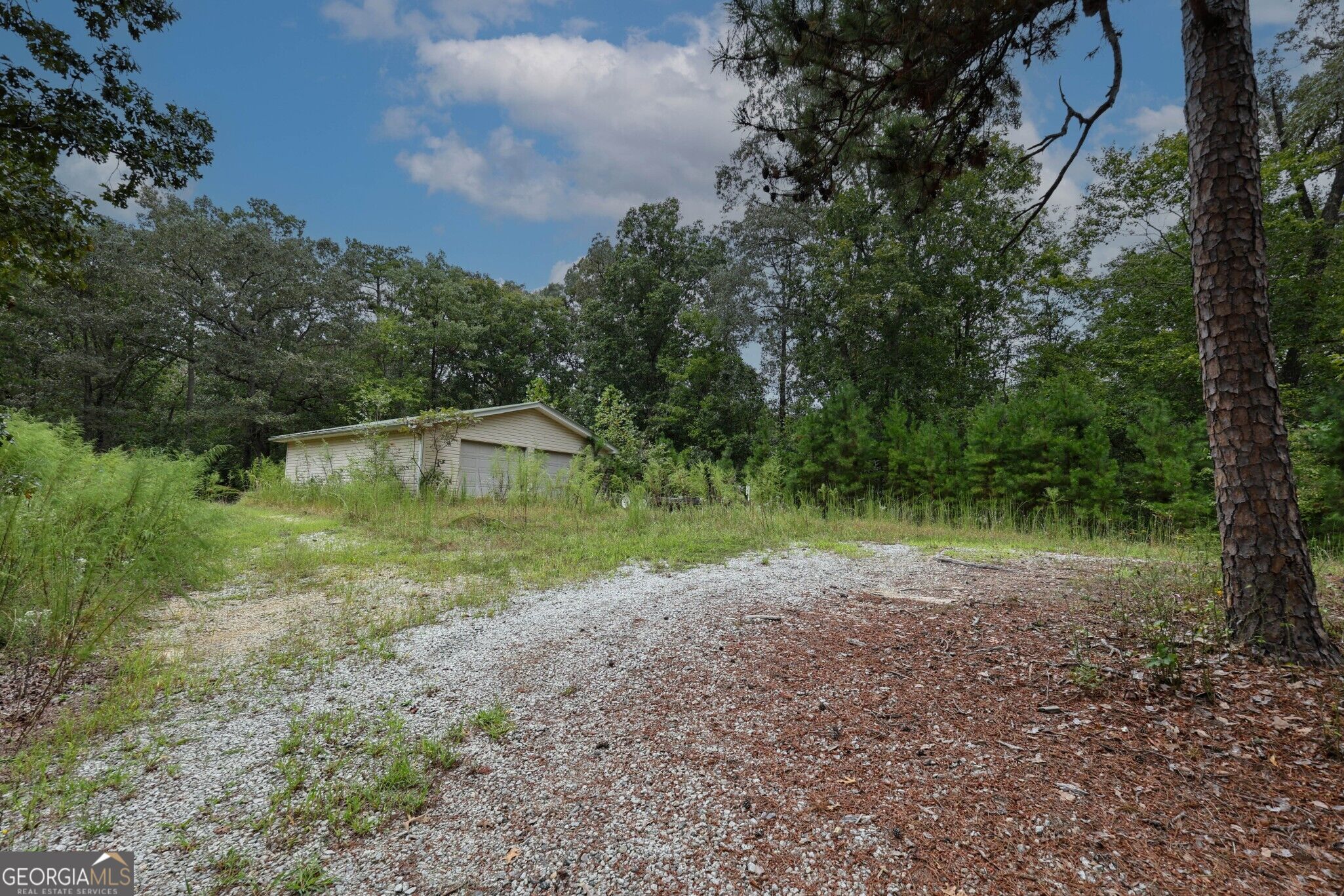 263 Cole Lake Drive Property Photo 33