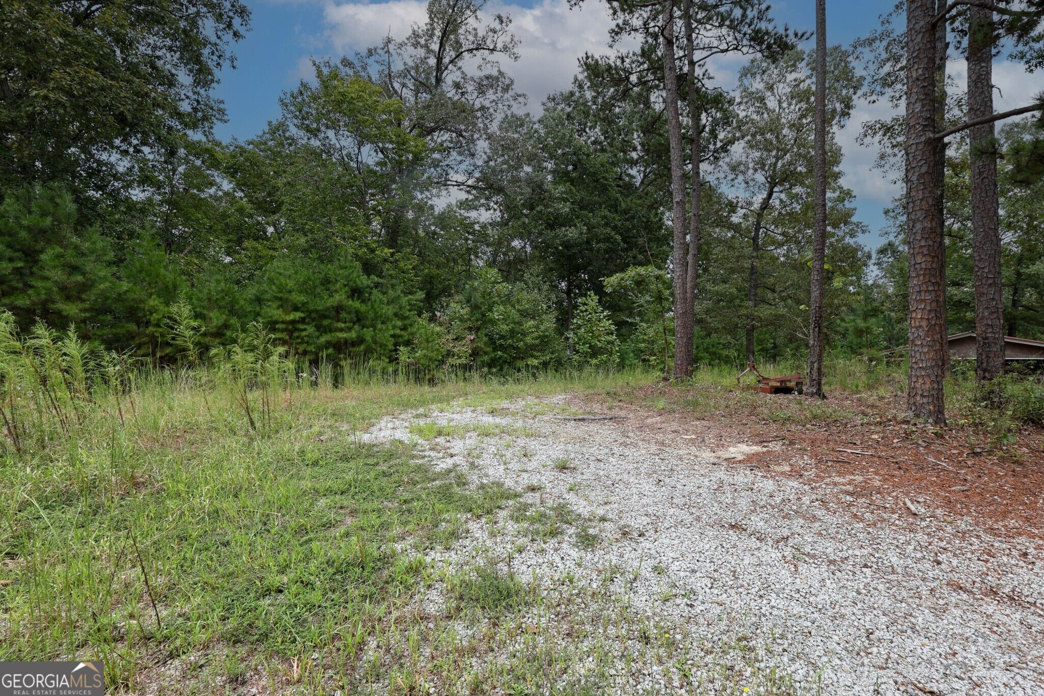 263 Cole Lake Drive Property Photo 35