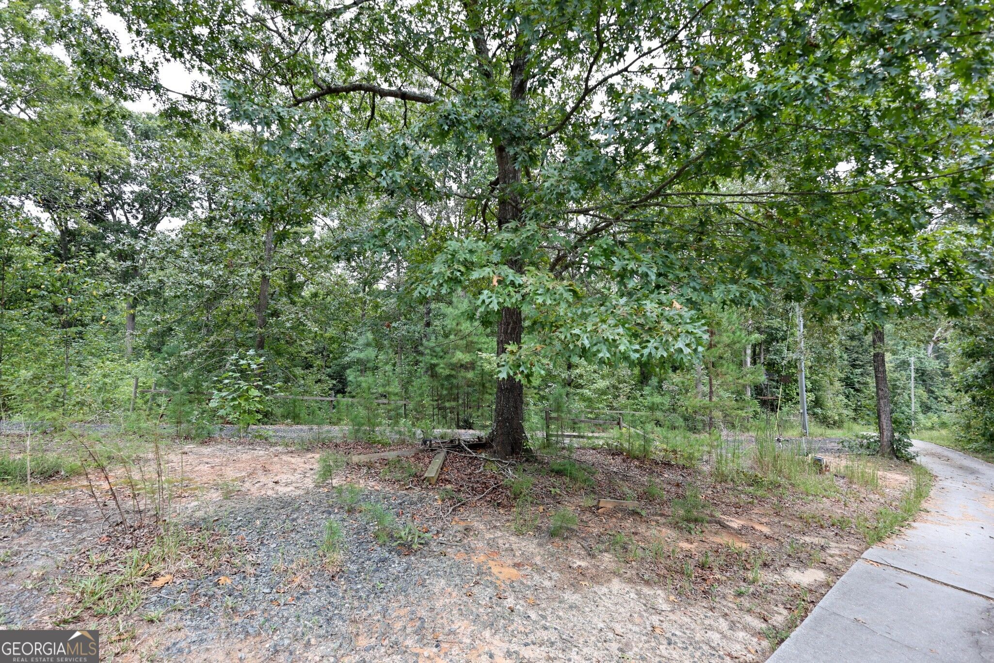 263 Cole Lake Drive Property Photo 39