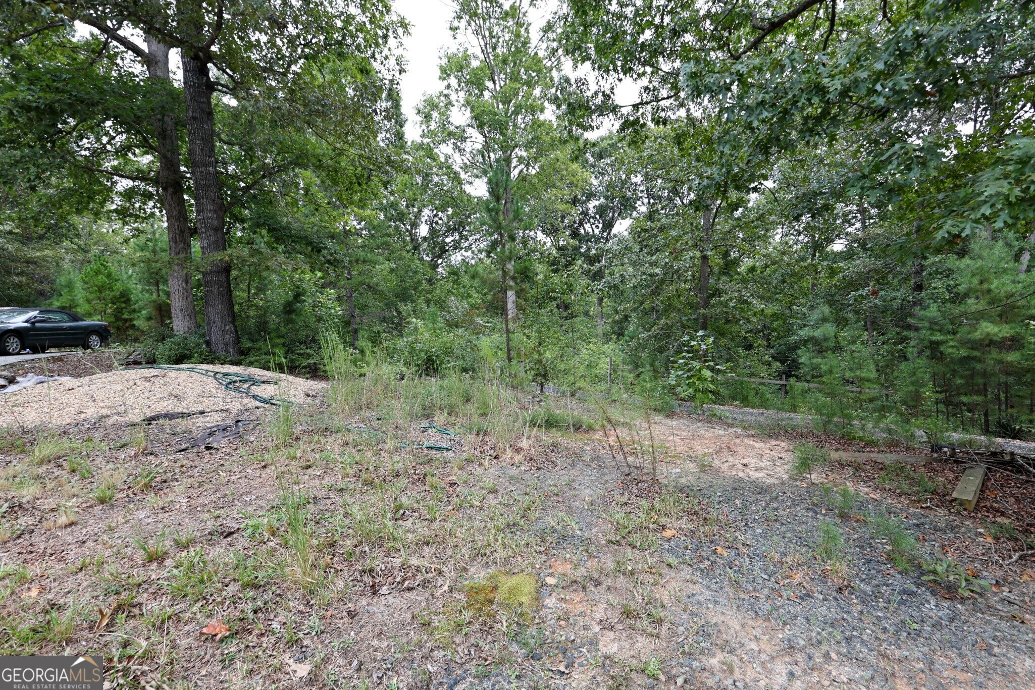 263 Cole Lake Drive Property Photo 41