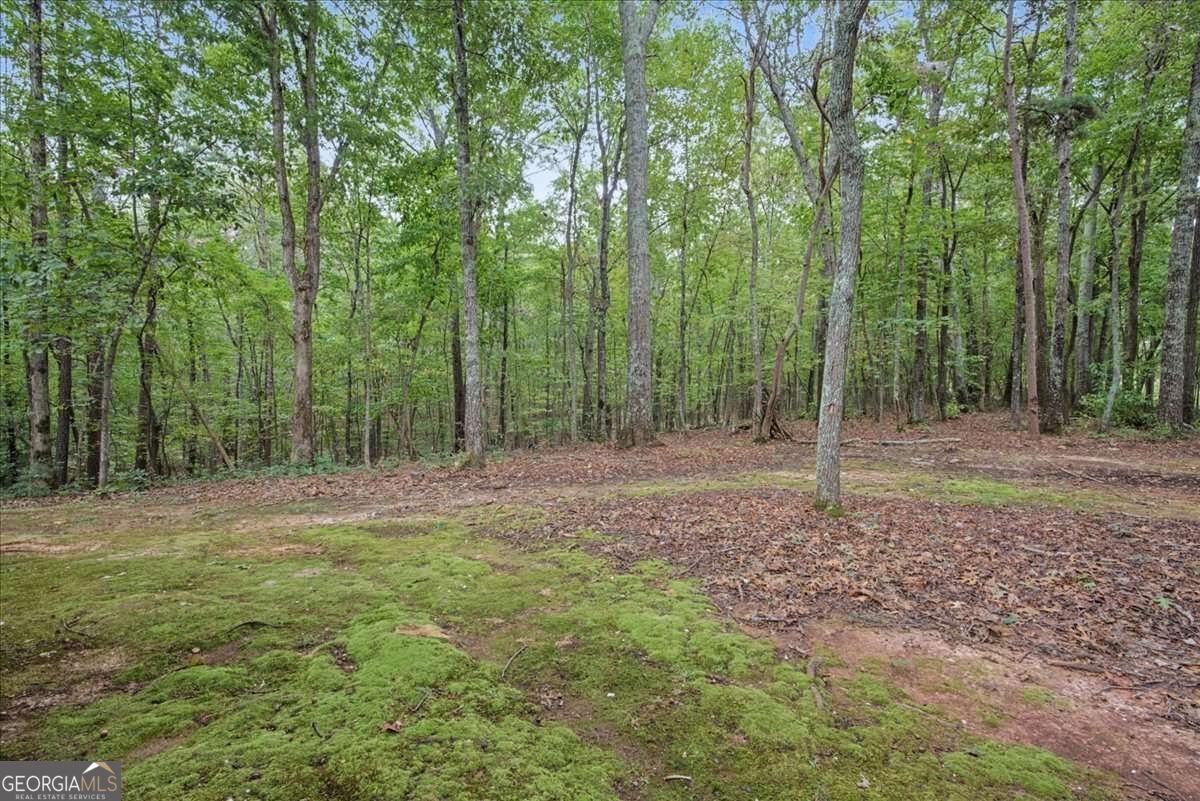 112 Old Mountain Road Property Photo 31