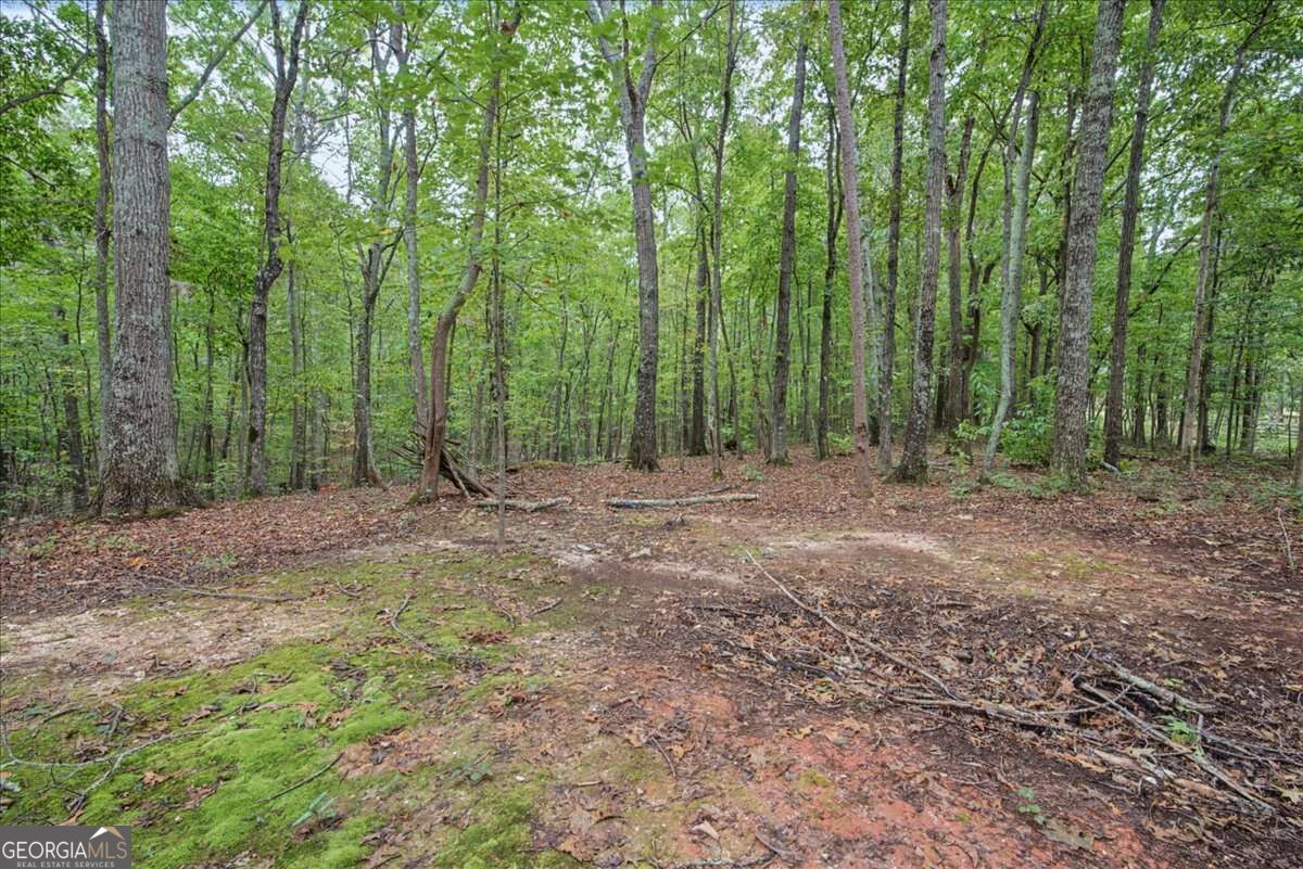 112 Old Mountain Road Property Photo 32
