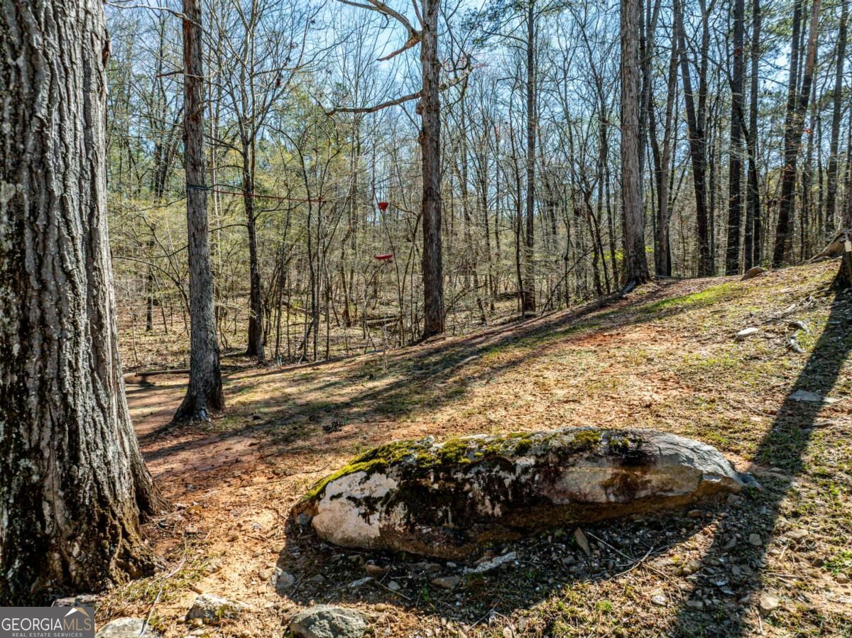 159 Dam Road Property Photo 40