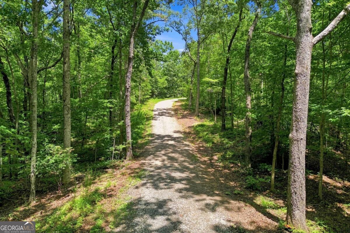 102 New Bethel Ch Road Property Photo 3