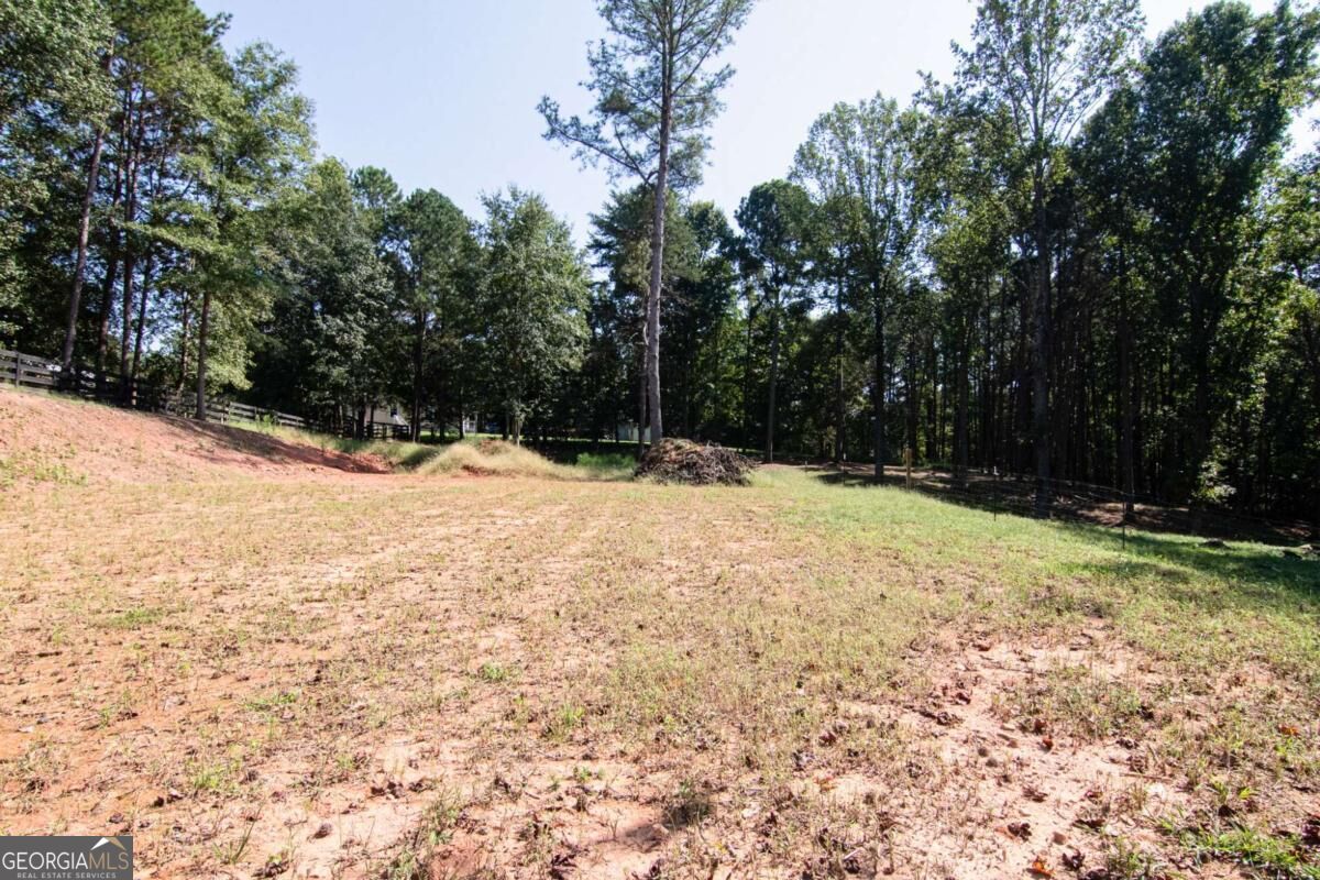 2714 Dorsey Peek Road Property Photo 38