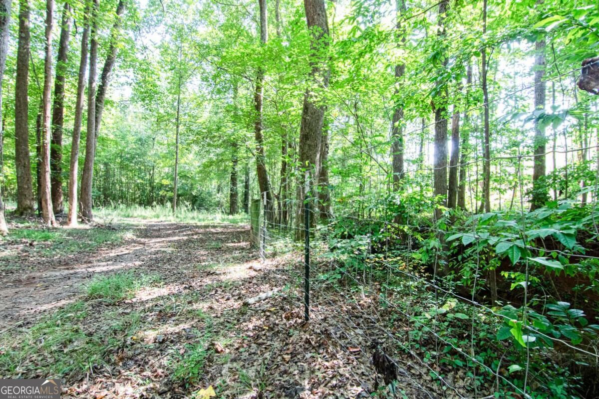 2714 Dorsey Peek Road Property Photo 51