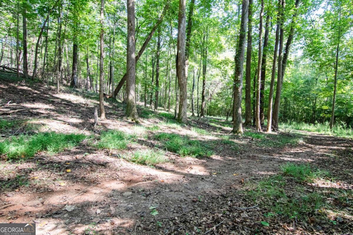 2714 Dorsey Peek Road Property Photo 54