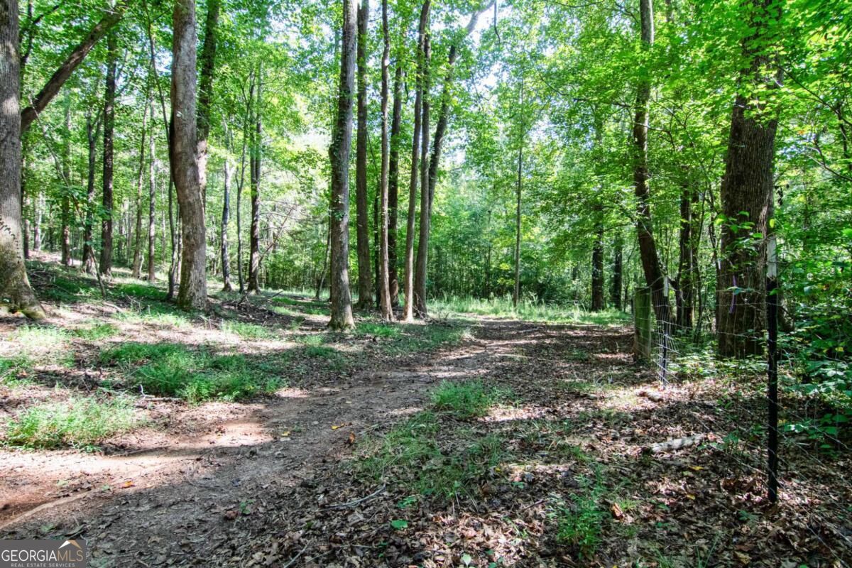 2714 Dorsey Peek Road Property Photo 55