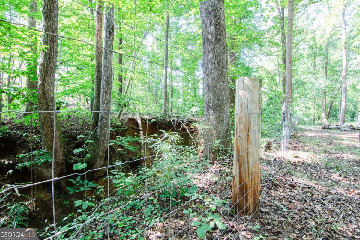 2714 Dorsey Peek Road Property Photo 56