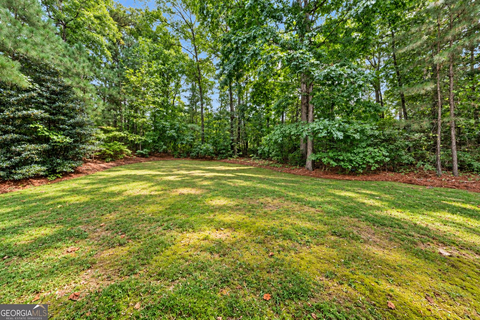 683 Savannah Rose Way Property Photo 47