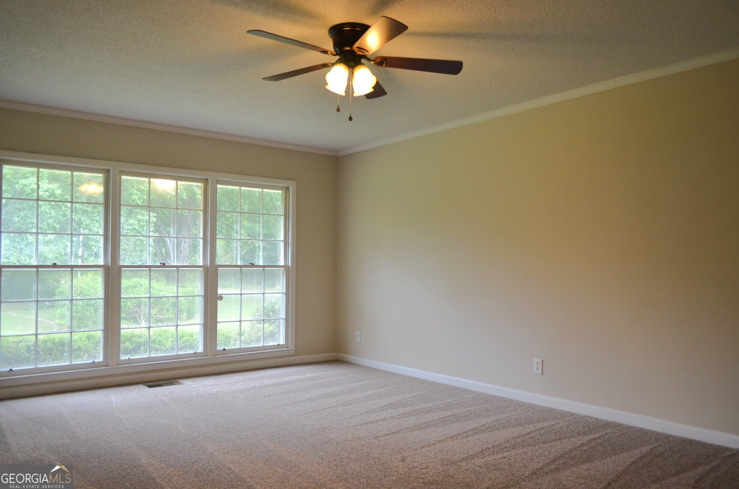 29 Mimms Street Property Photo 12