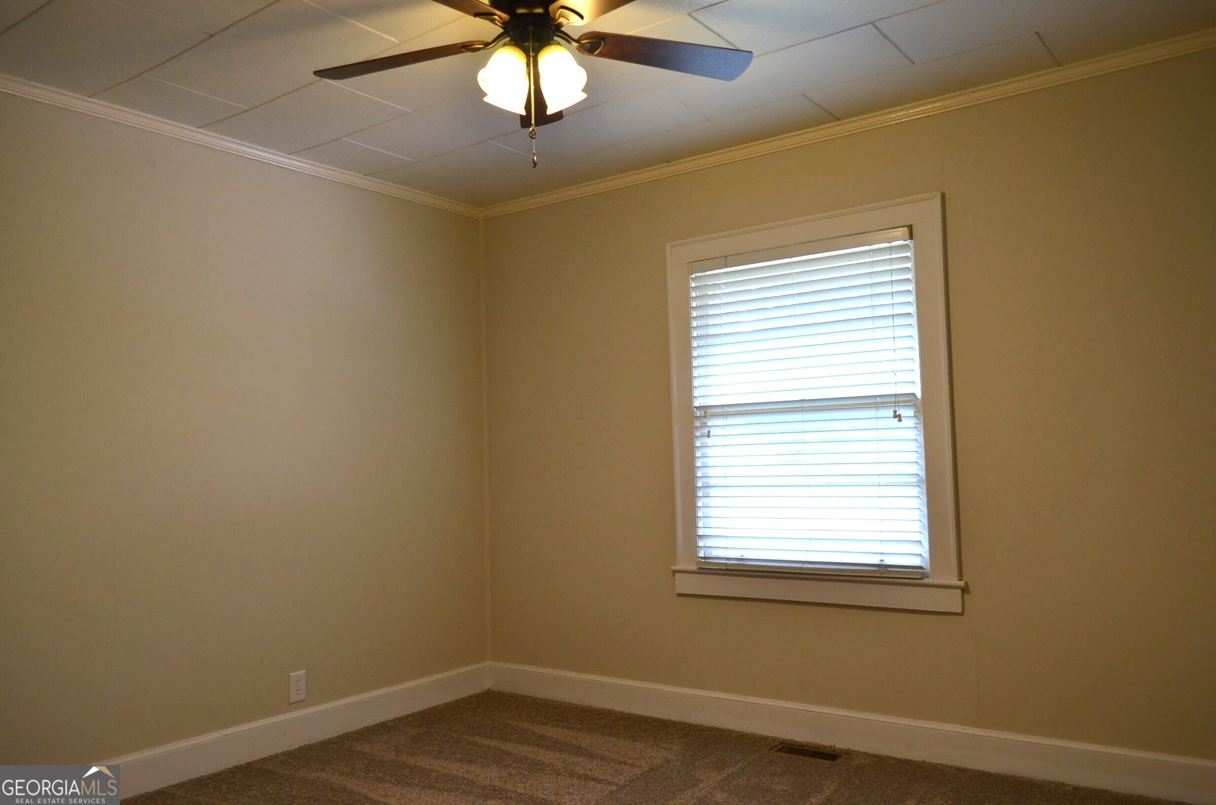 29 Mimms Street Property Photo 14