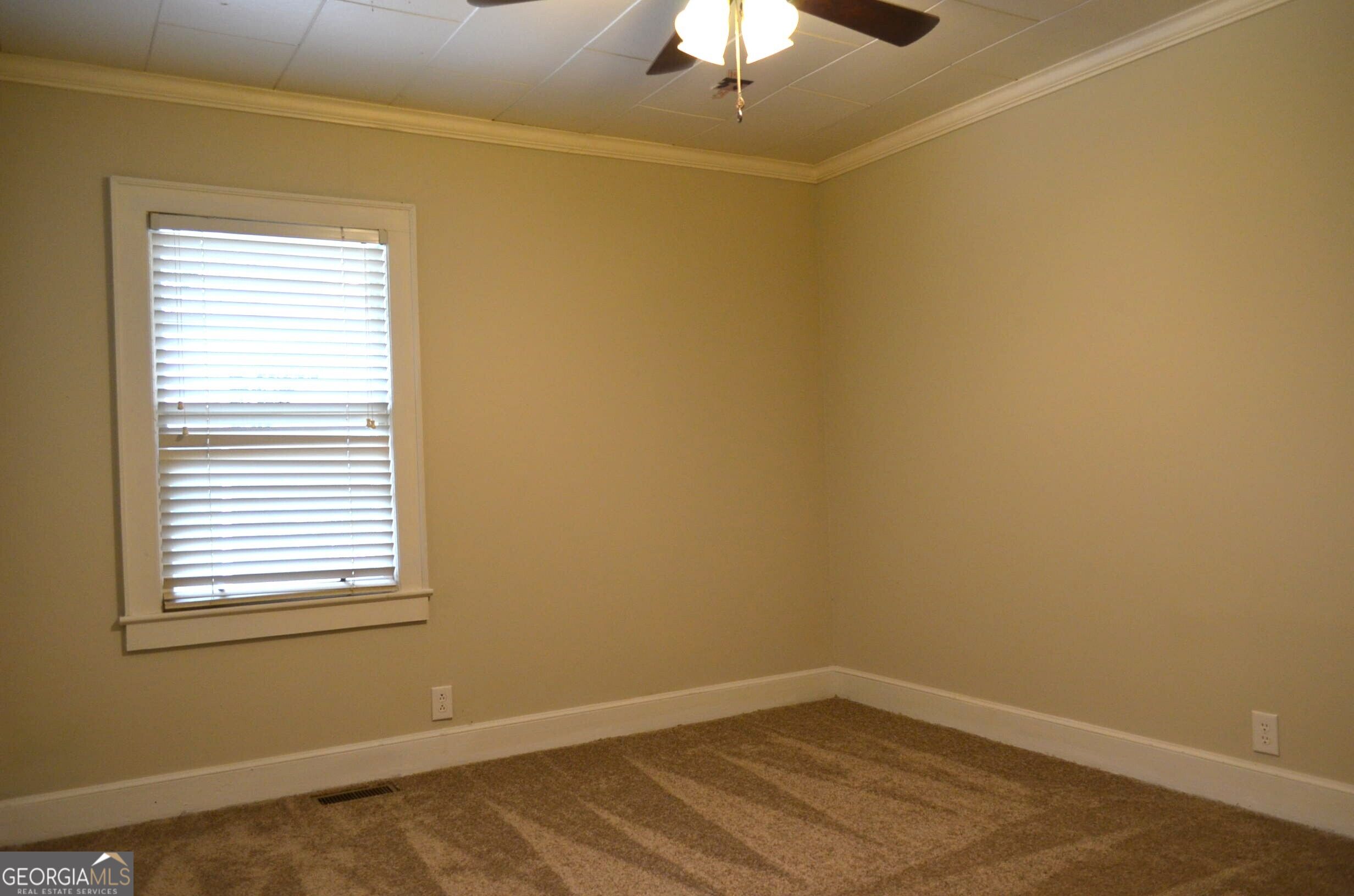 29 Mimms Street Property Photo 17
