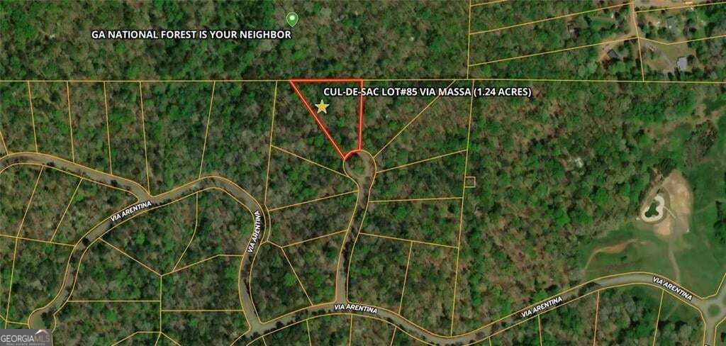 85 Via Massa Property Photo 1