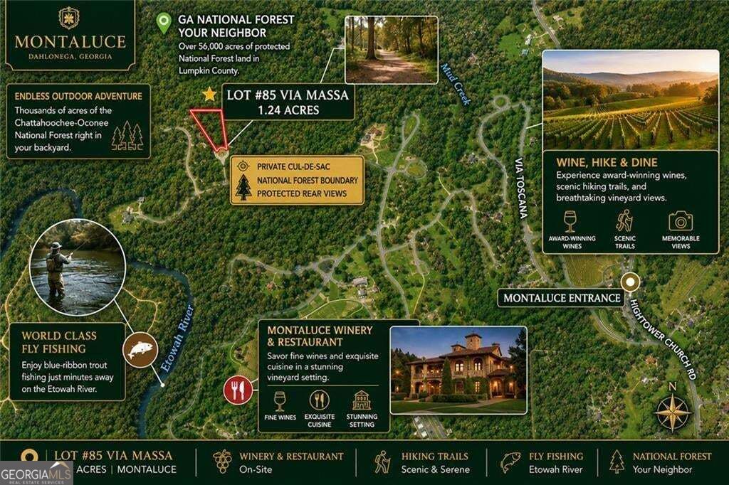 85 Via Massa Property Photo 3