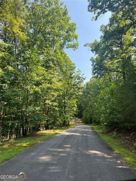 85 Via Massa Property Photo 4